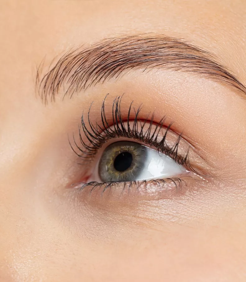 Sertifikovana Obuka Za Trepavice I Obrve